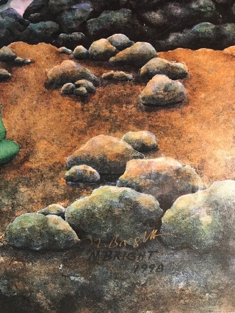 Picture 2 of 3