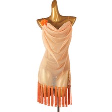 Custom Made Latin Tango Fringes Performance Dress Costume Rumba Dancewear Salsa