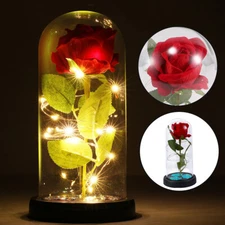 Galaxy Rose Flower Forever In Dome Glass LED Light Valentine's Day Mother's Day