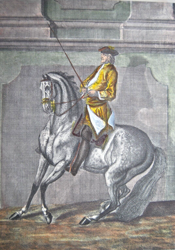 Johann Elias Ridinger caballos escuela de equitación vienesa doma aguafuerte 1750 - Imagen 3 de 5