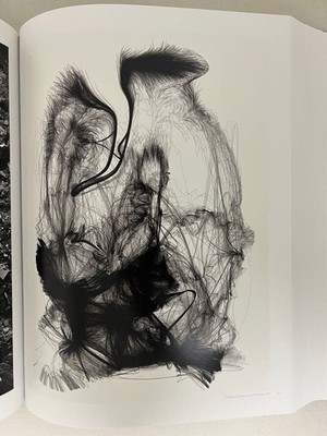 Fabien Baron: Works 1983-2019 Design Fashion Photography Book 424p
