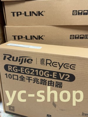 1PC New Riptide RG-EG210G-E V2 Enterprise-grade routers Fast via FedEx or DHL