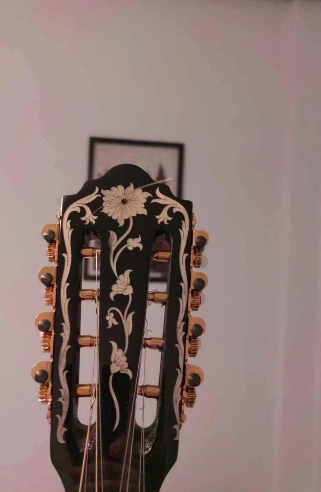 Greek Bouzouki - HARDCASE & PICKUP INCLUDED - PROFESSIONAL - Image 4 of 4