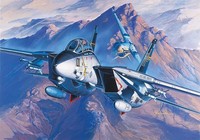 Academy 12471 1/72 F-14A