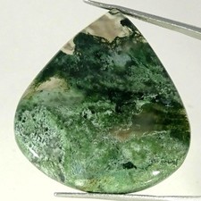 60.90Cts 100 Natural Moss Agate Pear Cabochon Gemstone 35X37X6MM