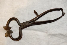 Antique Wrought Iron Sugar Nippers Early 19th Century