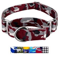 Country Brook Petz  Martingale Dog Collar - Sports and Athletics Collection