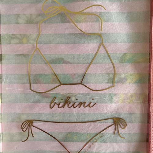 Victoria's Secret Clutch transparent/pink gestreift großer Reißverschluss goldfarben Bikini nass Beutel - Bild 2 von 6
