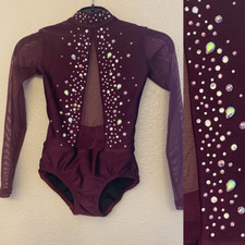 Patrick J solo dance costume purple custom rhinestone embellished leotard LC MC