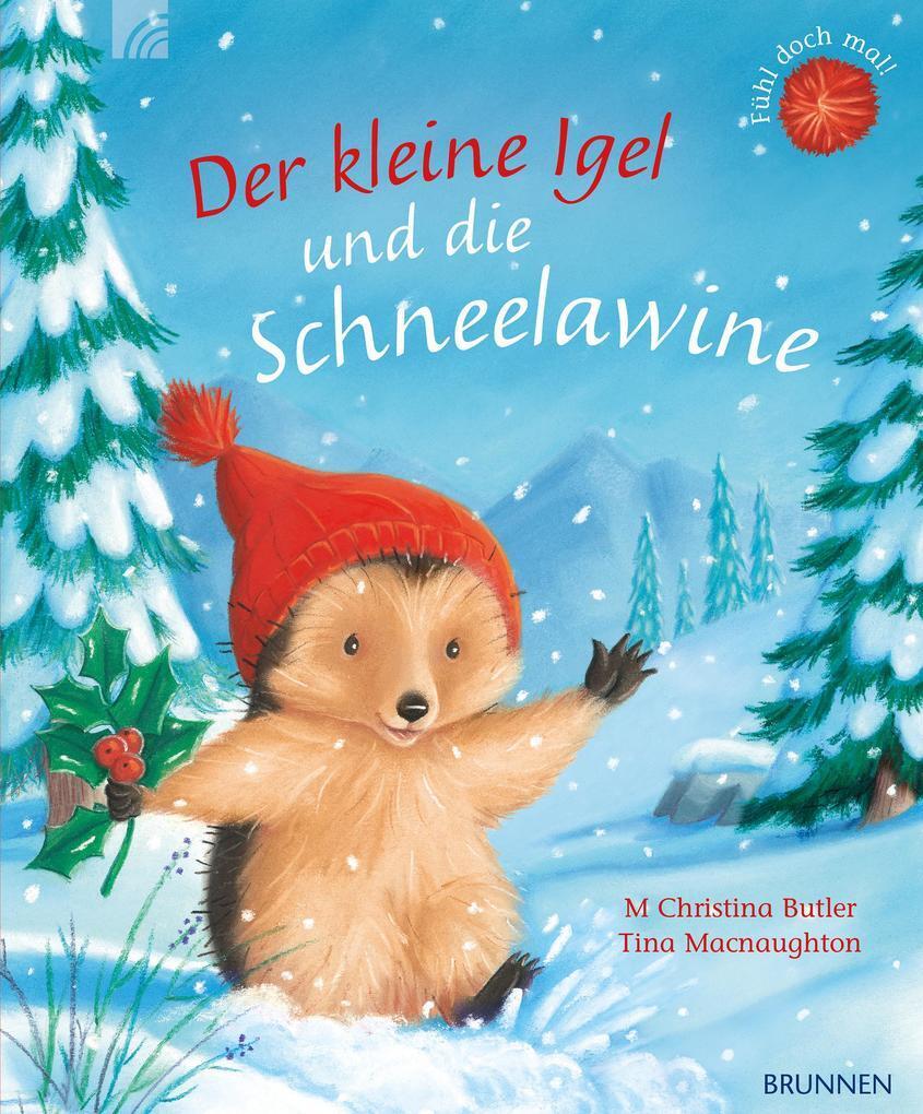 Thumbnail - Der Kleine Igel Und Die Schneelawine | M Christina Butler | 2020 |