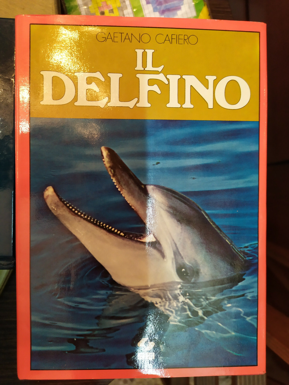 Foto 1 di 1
