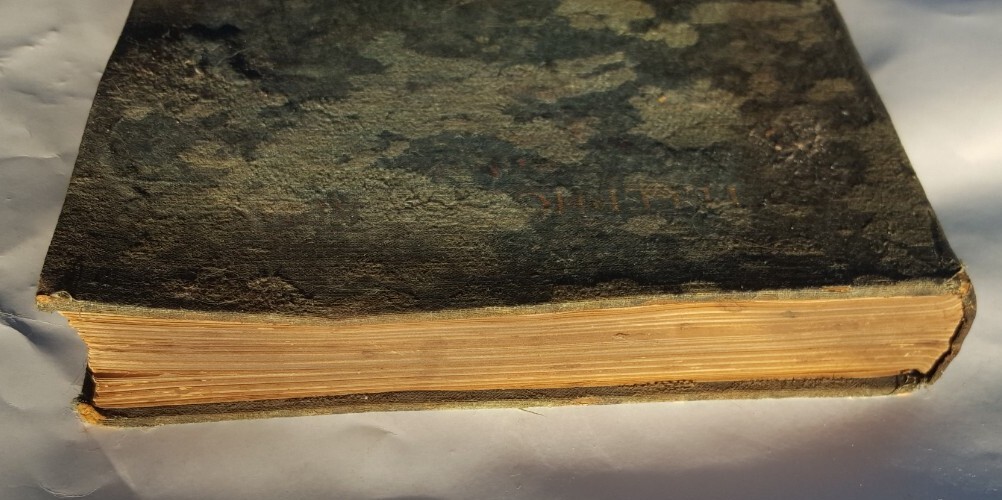 Picture 3 of 12