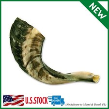 Ram Shofar Horn Israel Jewish Natural Musical Instrument Half Polished 12-14"