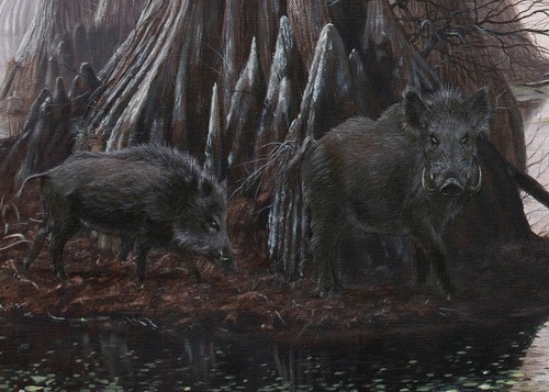 Arkansas Ducks Unlimited 2016 patrocinador impreso firmado AP Cypress Bayou Neighbors - Imagen 2 de 4