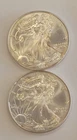 1998 and 1999 Silver Eagles