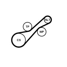 CONTINENTAL CTAM KEILRIPPENRIEMEN-SATZ passend für CITROËN C1 PEUGEOT 108