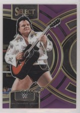 2024 Select WWE Premier Level Purple Prizm 19/99 Greg Valentine The Hammer 1ai1