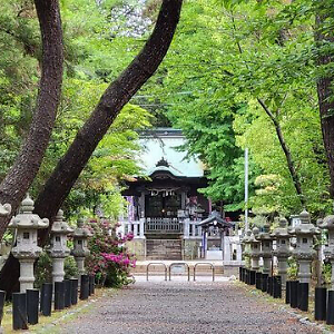 Japan Shonan Shop | eBay Stores