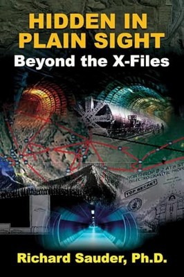 Hidden in Plain Sight : Beyond the X-Files by Richard Sauder (2021, Trade ...