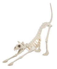 Jumbo Skeleton Cat Décor, White