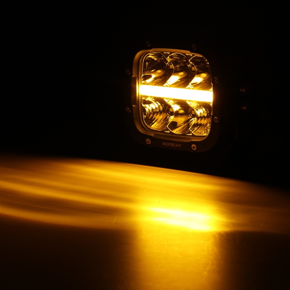Picture 11 of 12