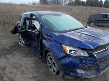 Used Deck Lid fits: 2015 Ford Escape privacy tint glass power lift w/rear view c