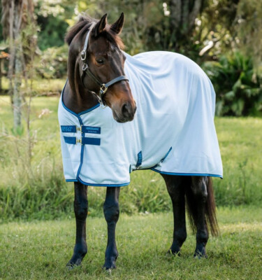 Amigo Bug Rug - Azure Blue