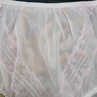 Vintage Sheer Nylon Panty Light Pink Sissy Lace Granny Brief Size 8 Hip 39-43"