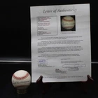 Ted Williams Signed Rawlings OAL Baseball Red Sox Autograph JSA LOA ZJ22905