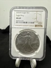 2025-P PRIVY NGC MS69 AMERICAN SILVER EAGLE