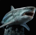 W-Dragon 1/35 Megalodon Prehistoric Sharks Dinosaurs Model Toy Statue In Stock