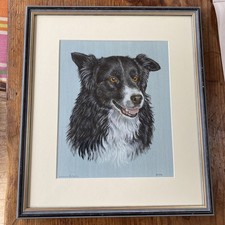Original Art Portrait Of A Collie Dog Framed Watercolour
