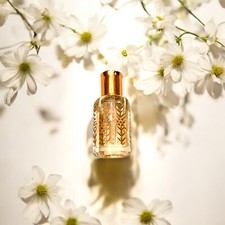Arabian Jasmine  Premium Perfume Oil  Attar Oil