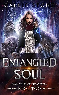Entangled Soul: A Rejected Mates Shifter Romance By Callie Stone - New Copy -...