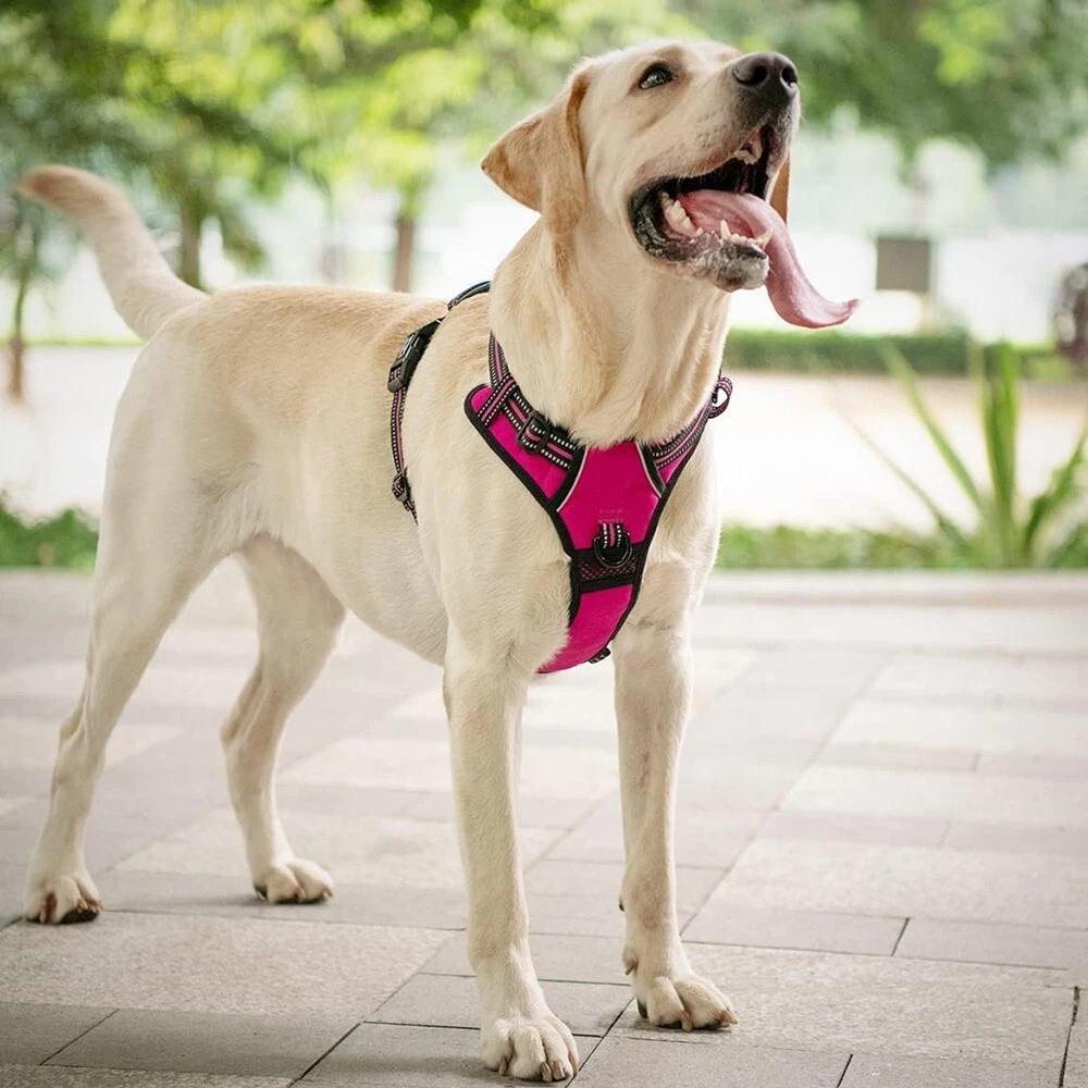 Dog Harness No-Pull Pet Harness Adjustable Outdoor Pet Vest reflection