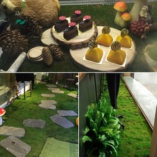 Künstliches Moos Terrasse Dekoration Dessertgeschäfte Gras 100*100cm Faux Shop