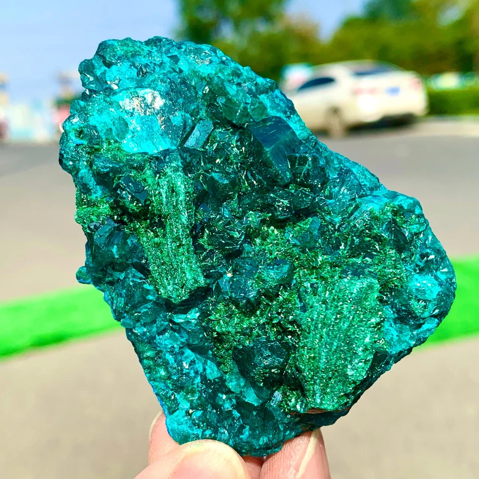 154G Natürlicher Grüner Dioptase Smarandin Edelstein Cluster Mineral Präparat