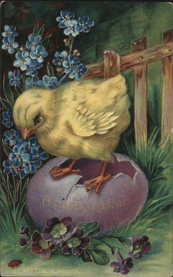 Easter Chicks Yellow Chick Broken Purple Egg & Forget-Me-Nots 1912 Reedsburg, WI