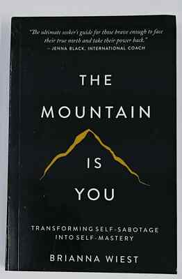 #ad THE MOUNTAIN IS YOU BY BRIANNA WIEST USA stock Fast Shipping Paperback $8.99