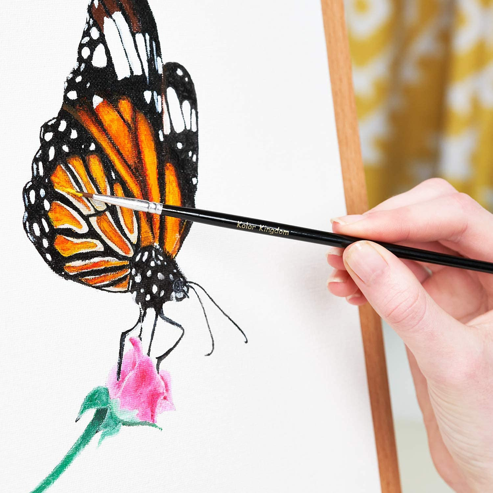 Acrylic Paint Set Canvas Art Paints 24 Colors (0.41Oz,12 Ml) with 3