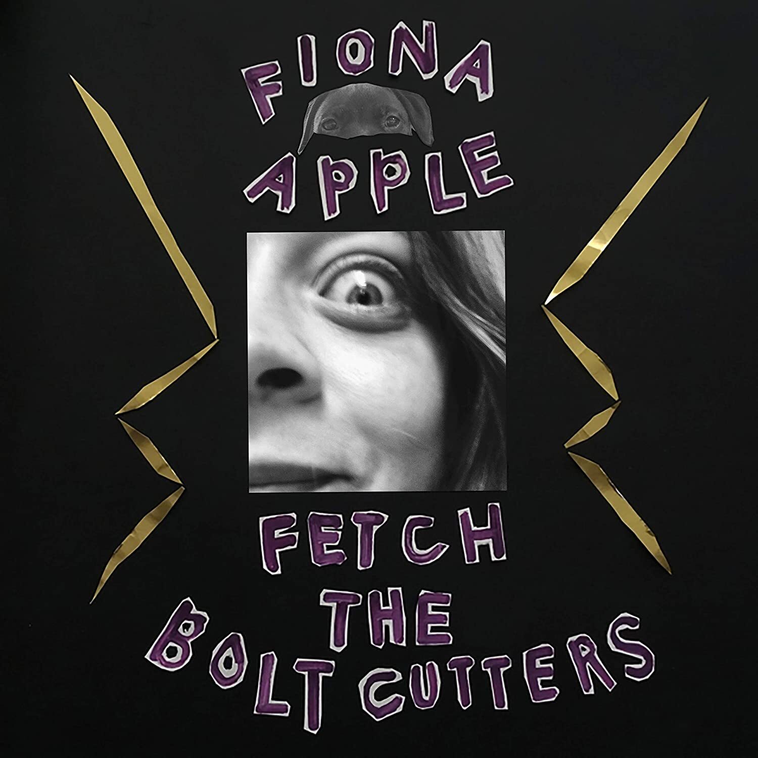 Audio Cd Fiona Apple - Fetch The Bolt Cutters