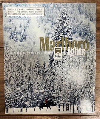 Raygun Magazine | Issue 23 | Belly | Led Zeppelin, Melvins | Art