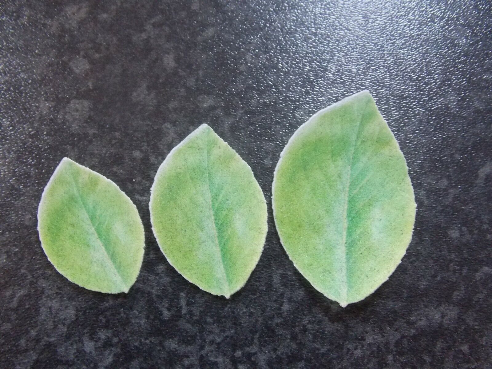 Picture 4 of 4