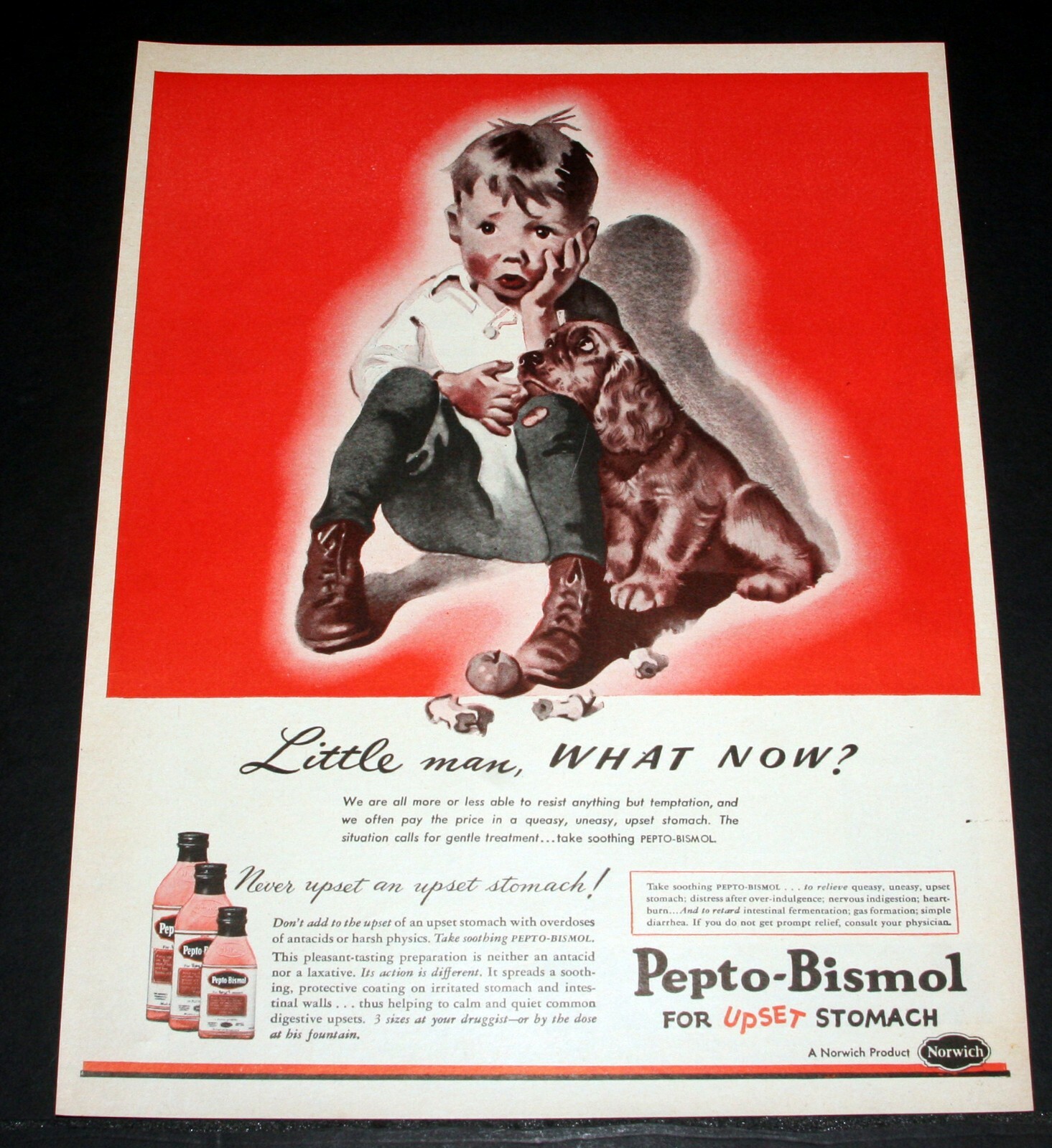 Can You Give A Dog Pepto Bismol For Gas