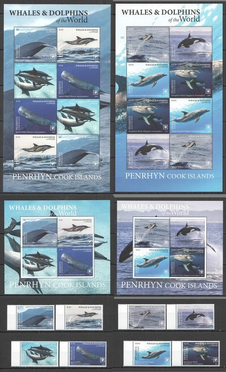 NW719-24 2020 PENRHYN WHALES & DOLPHINS ! MARINE LIFE 2SH+ NW719-24 2020 PENRHYN WHALES & DOLPHINS ! MARINE LIFE 2SH+