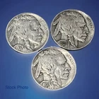 LOT of 3 , 1937 P D S Buffalo Nickel XF Nice Details. American Frontier Coins