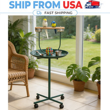 Green Parrots Play Stand with Feeding Cups Catch Tray Rolling Metal Bird Perch