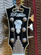 D’Angelico Deluxe Atlantic Limited Edition (Sage) 1 of 50