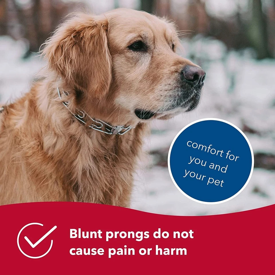 Collar de Entrenamiento para Perros Ultra-Plus Punta, Tamaño de Cuello 2.25 mm x 13", 2.25 mm, Acero... Foto 4 de 4