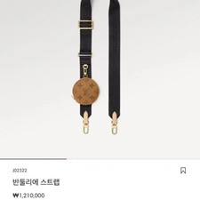 Louis Vuitton Petit Damier Strap Monogram Bag